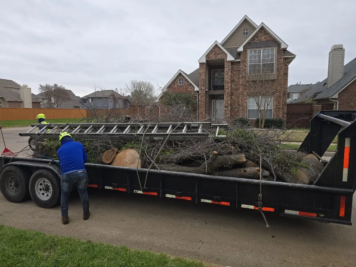 Expert Tree Fertilization with proper safety equipment in Arkansaw